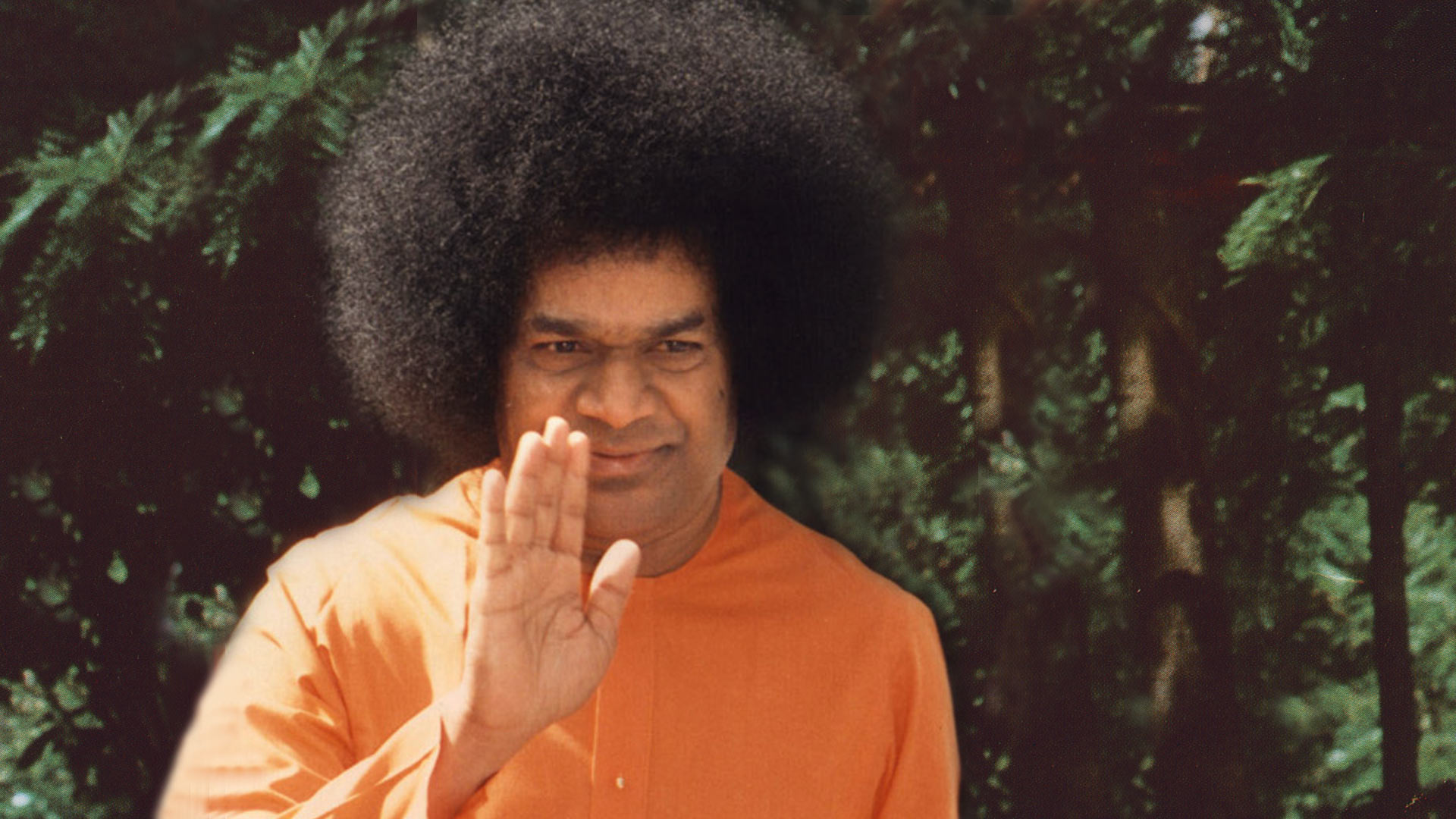 Image result for satya sai image